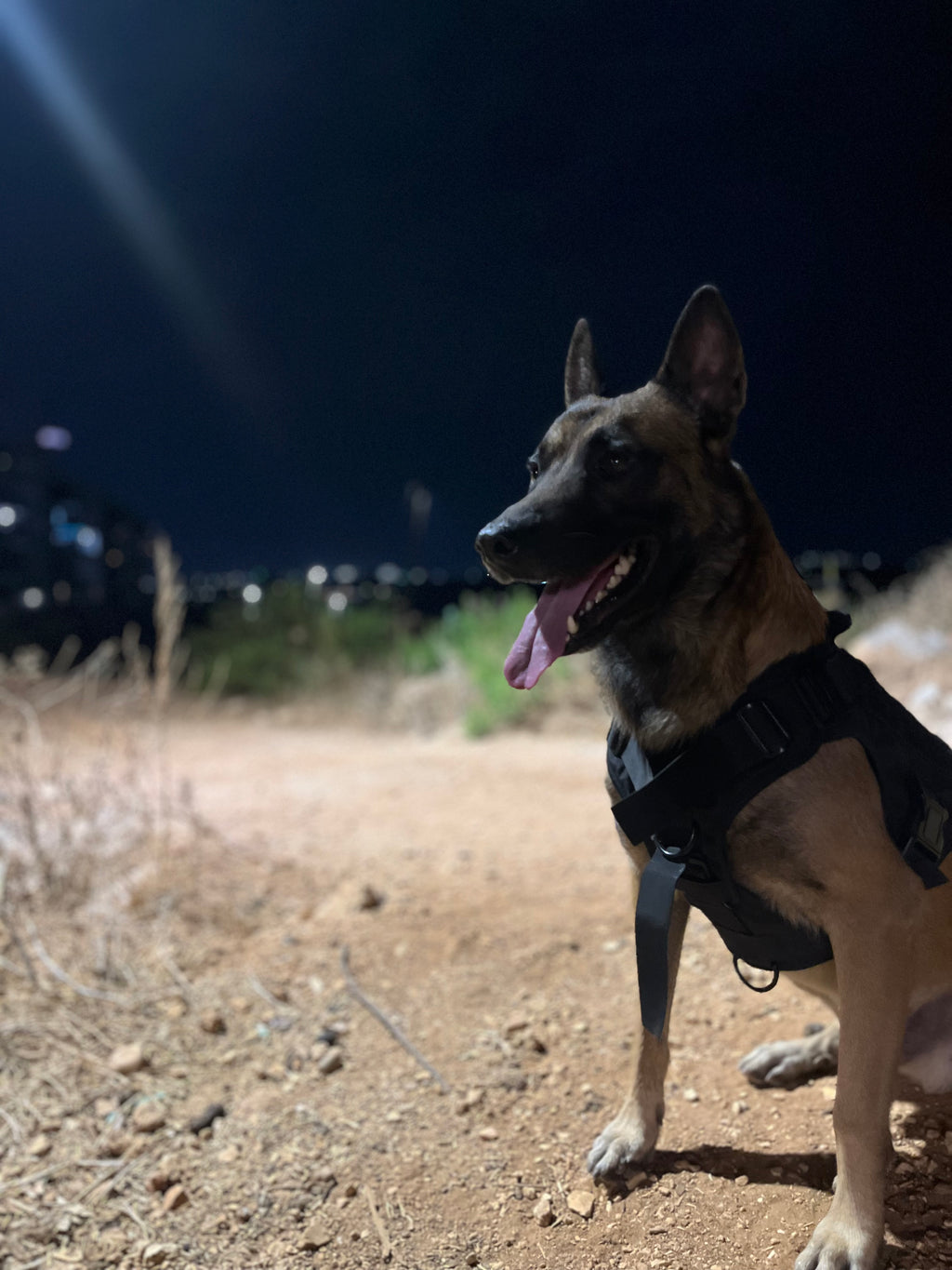 Tactical K9 Harness - Elite Edition